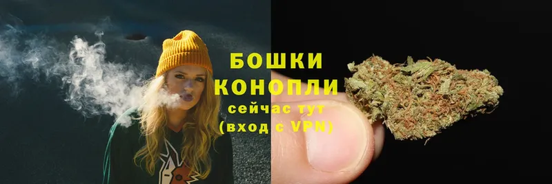 МАРИХУАНА Amnesia  наркотики  Высоковск 